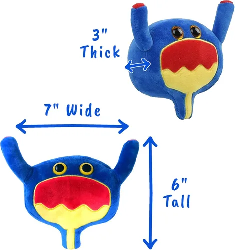 Miniatura 4 de GIANT MICROBES Peluche de vejiga, regalos de mordaza de urología, conciencia sobre el cáncer de vejiga, peluches de órgano, conciencia del cáncer