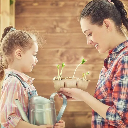 Miniatura 7 de Paquete de 10 bandejas de iniciación de semillas, 120 celdas de germinación orgánica, bandejas de semillas de germinación orgánica, kit de cultivo