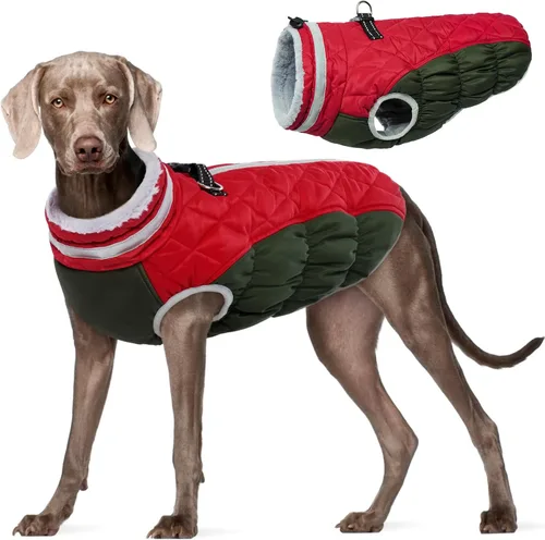 Miniatura 49 de FUAMEY - Chaqueta de invierno para perro, chaleco acolchado con arnés, ropa cálida para mascotas, abrigo con cremallera, impermeable, para perros