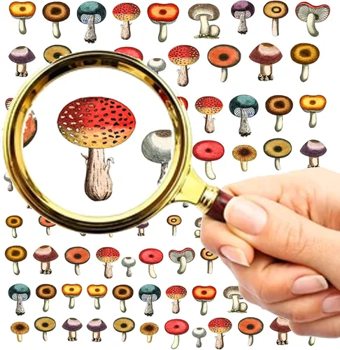 Miniatura 8 de Calcomanías para uñas (5 hojas) FLONZNAIL Ácido Psicodélico Setas Decoración de Uñas