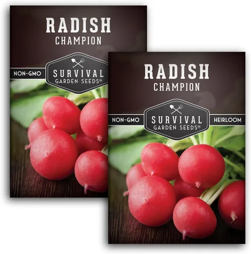 Miniatura 10 de Champion - Semillas de rábano para plantar, reliquia de rápido crecimiento para jardines de primavera y otoño, rábanos rojos redondos grandes, pulpa