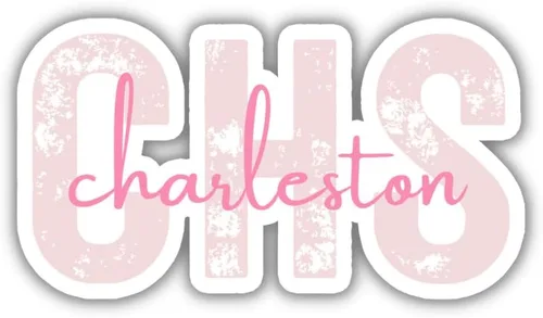 Miniatura 5 de CHS Charleston - Adhesivo de viaje con código del aeropuerto de Carolina del Sur, varios colores, cuaderno planificador de botellas de agua