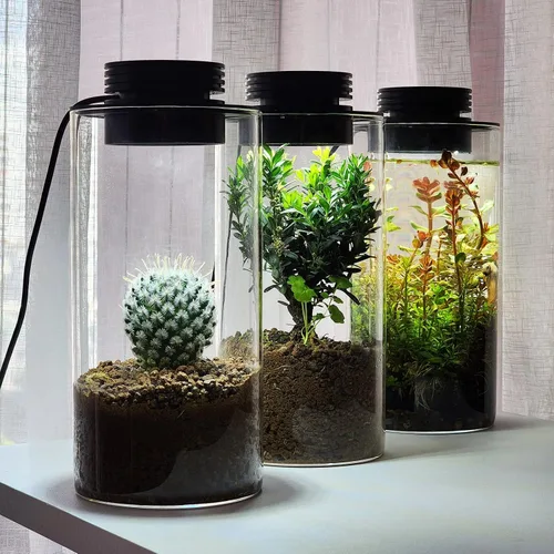 Miniatura 2 de AREPK Terrario de plantas de vidrio de escritorio con luz de cultivo (H:7.8" D:4"), para suculentas, musgo, paisajismo de jardinería en miniatura