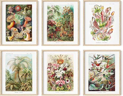 Miniatura 24 de HAUS AND HUES Impresiones de arte asiático, juego de 6 decoraciones japonesas contemporáneas de pared, pinturas de hokusai, carteles de ondas, Juego