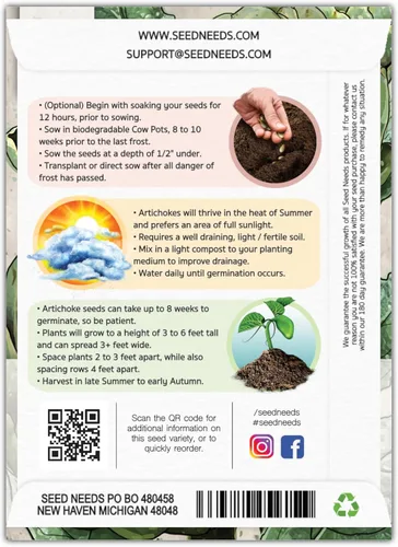 Miniatura 2 de Seed Needs Semillas de alcachofa para plantar alcachofas de globo verde, reliquia sin OMG y sin tratar, cultiva un huerto cultivado en casa al aire
