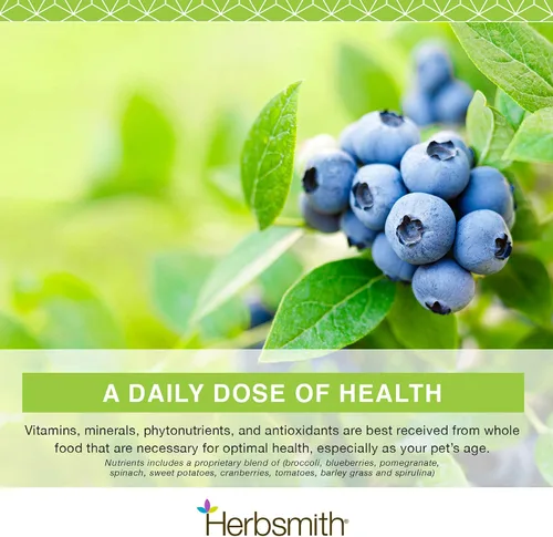 Miniatura 6 de Herbsmith Nutrients Superfood - Multivitamínico para perros con vitaminas y minerales de Whole Foods Boost Kibble o DIY Raw con antioxidantes