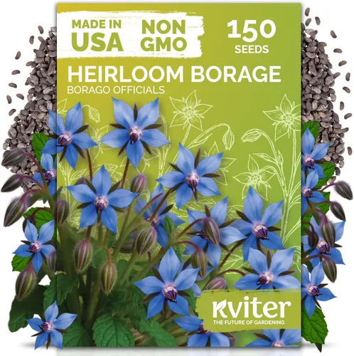 Miniatura 13 de KVITER 1000 semillas de quinua de cordero (Chenopodium Album) - Hierbas comestibles autóctonas, ideales para jardines de hierbas orgánicas
