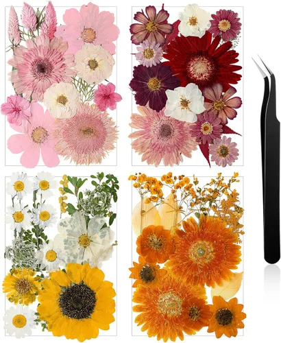 Miniatura 28 de Nuanchu Flores secas prensadas negras para manualidades, flores secas góticas, flores silvestres prensadas naturales a granel con pinzas para molde