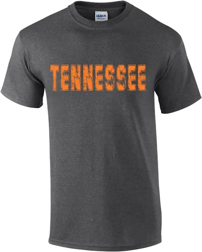 Miniatura 8 de Camiseta de manga corta para hombre, diseño con nombre de estado desgastado, para hombre