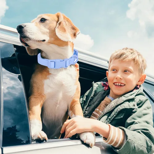 Miniatura 3 de Collar de perro impermeable de goma suave con hebilla de seguridad, collares ajustables para mascotas para perros pequeños, medianos y grandes L azul