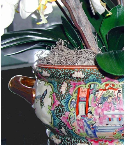 Miniatura 3 de Mosser Lee Musgo español – Musgo decorativo natural para plantas de interior, cubierta de tierra, manualidades, terrarios y arreglos florales - 2.4