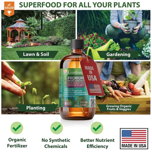 Miniatura 2 de GARDENERA Superalimento orgánico prémium de algas marinas y algas marinas para plantas AGLAONEMA, 8 onzas, concentrado de fertilizante líquido