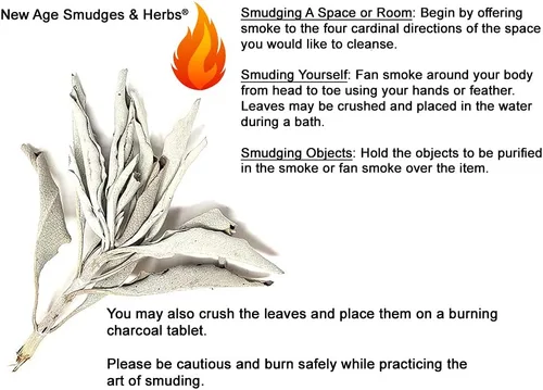 Miniatura 2 de 1 libra de hojas y racimos de salvia blanca orgánica de California. Uso para rituales de limpieza del hogar, meditación, rituales de manchas.
