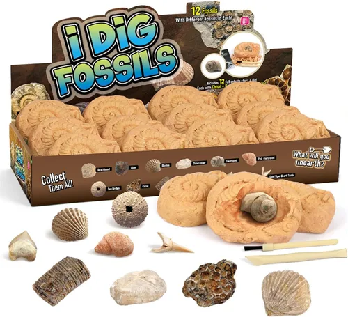 Miniatura 8 de Gamerside - Kit de minería de minerales, kit de excavación de piedras preciosas, 12 piedras preciosas y cristales de colección de piedras preciosas