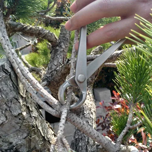 Miniatura 4 de Cortador de perilla, 7.087 in de acero inoxidable Perilla Cortador de Bola Tijeras de Paisaje Modelado Jardín Bonsai Herramientas