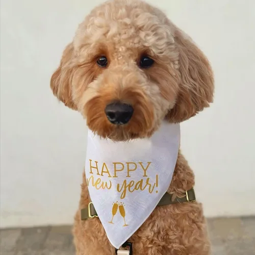 Miniatura 2 de Bandana para perro de Feliz Año Nuevo, triángulo ajustable 100% algodón, fabricado en Estados Unidos, víspera de Año Nuevo, celebración, saludos a