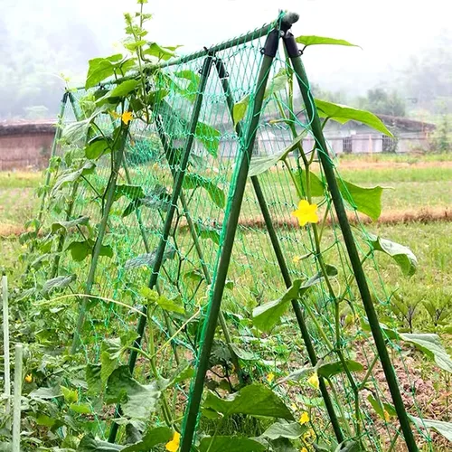 Miniatura 7 de Conectores de estacas de jardín ajustables, clips de plástico para varillas de 0.43 pulgadas de diámetro, juntas de conexión para jaula de tomate