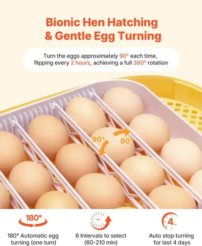 Miniatura 4 de VEVOR Incubadora de 24 huevos, volteador automático de huevos con vela LED, control de temperatura y humedad, ventana transparente de 360°
