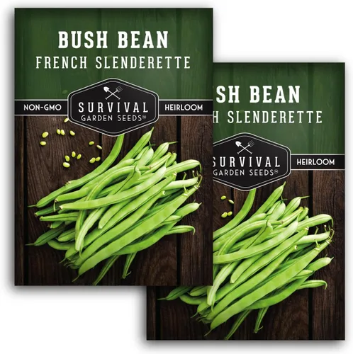 Miniatura 10 de 1 paquete de semillas de frijol francés Slenderette Bush para plantar con instrucciones para cultivar verts de haricots en tu huerto casero