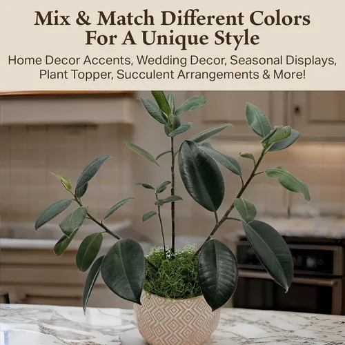 Miniatura 6 de Musgo español preservado – Musgo decorativo prémium para manualidades, decoración del hogar, arte, diseño y proyectos de bricolaje – musgo real –