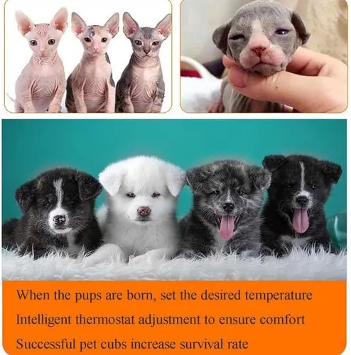 Miniatura 5 de Pet Incubator Box for Dog, Large PET Brooder Nursery Dog, Cat Incubator for Puppies, Puppy Incubator with Heating, Kitten Incubator, for Puppies