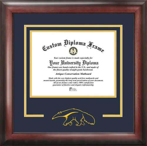Miniatura 108 de Marco de Diploma Spirit NCAA