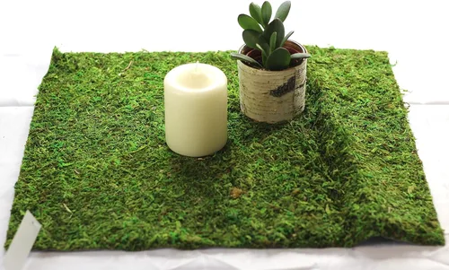 Miniatura 15 de Alfombra y tapetes de musgo preservado (12 pulgadas x 6 pies)