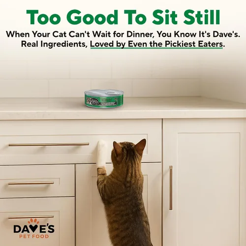 Miniatura 6 de Dave's Pet Food Alimento húmedo sin granos para gatos (95% paté de hígado de pollo y pollo), hecho en Canadá, alimento enlatado naturalmente