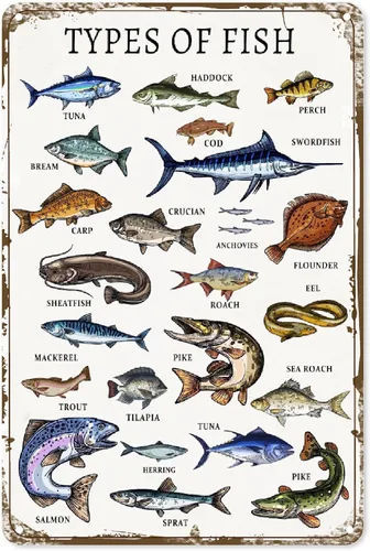 ASoftblak Types Of Fish - Cartel de metal de aluminio, decoración de pared de metal vintage, póster para el hogar, dormitorio, cocina, bar, hogar,