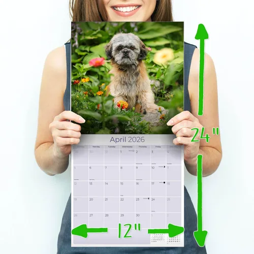 Miniatura 8 de Razas de Perros 2017 Shih Tzu