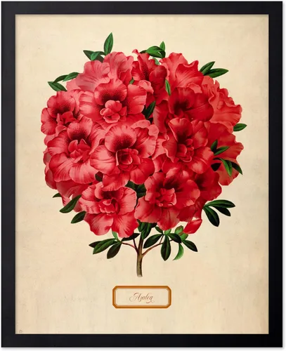 Miniatura 61 de Poster Master Póster Vintage de Plantas Cultivadas - Impresión Botánica Retro - Arte de Flores - Arte de Plantas - Regalo para Hombres y Mujeres