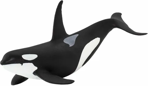 Safari Ltd. Figura de orca Wild Safari Sea Life - Figura realista de modelo de ballena asesina de 6 pulgadas, juguete educativo para niños y niñas a