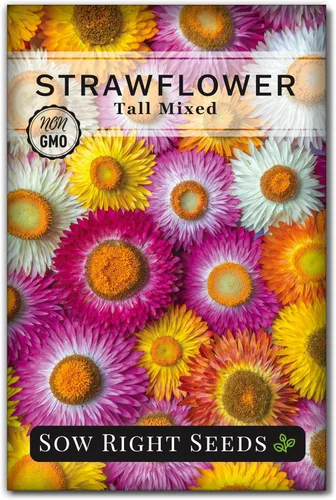 Sow Right Seeds - Semillas altas de fresa mixta - Paquete de reliquia sin OMG con instrucciones para cultivar - Hermoso para plantar en tu jardín de