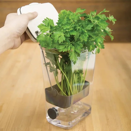 Miniatura 8 de ProKeeper Herb Keeper - Blanco, con tapón de drenaje de silicona extraíble, plástico sin BPA