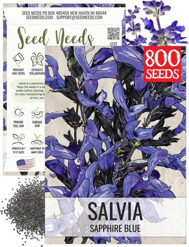 Seed Needs - Semillas de salvia de zafiro para plantar flores de salvia azul, paquete de 1