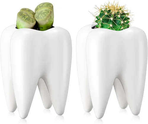 2 macetas en forma de dientes, de cerámica dental, estilo moderno, macetas de cactus blanco, para bonsái, maceta pequeña y bonita para suculentas,
