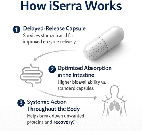 Miniatura 4 de iSerra Advanced Series Serrapeptase 250,000 SPU por cápsula (500,000 SPU por 2 cápsulas) Máxima fuerza 12 veces potente Serratiopeptidasa 90