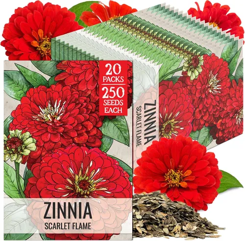 Miniatura 36 de Seed Needs California Giants - Semillas de zinnia – 250 semillas tradicionales para plantar Zinnia elegans – Cultiva flores anuales polinizadas