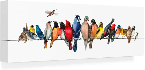 Wendy Russell - Lienzo decorativo para pared, diseño de "Big Bird Menagerie II", para sala de estar, dormitorio u oficina, 6 x 19 pulgadas