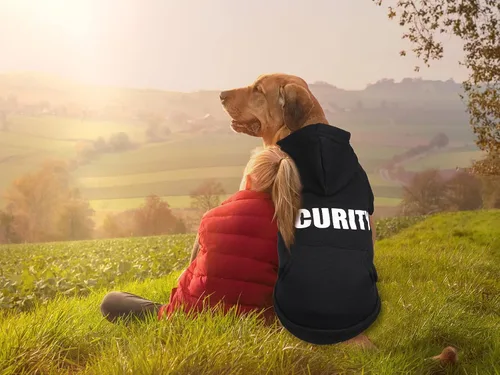 Miniatura 2 de Sudadera con capucha para perro, suéter de seguridad para perro, suave forro polar cepillado, sudadera con capucha con bolsillo para perros medianos