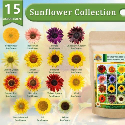 Más de 1000 semillas de girasol para plantar autóctonas sin transgénicos, paquete al por mayor de 15 variedades mixtas de semillas, envasadas