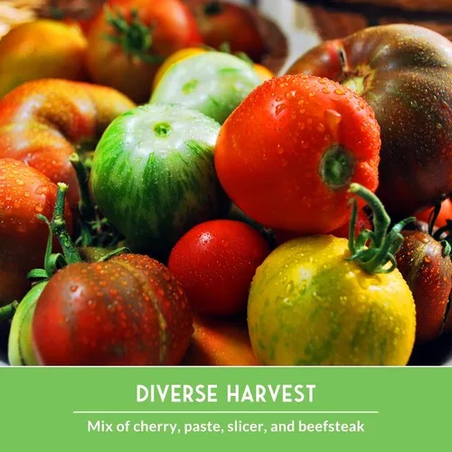 Miniatura 5 de Semillas de tomate 10 variedad para plantar - Cherokee Purple, Roma, Cherry, Aunt Ruby's Green, Hillbilly, Mortgage Lifter, Brandywine, y más