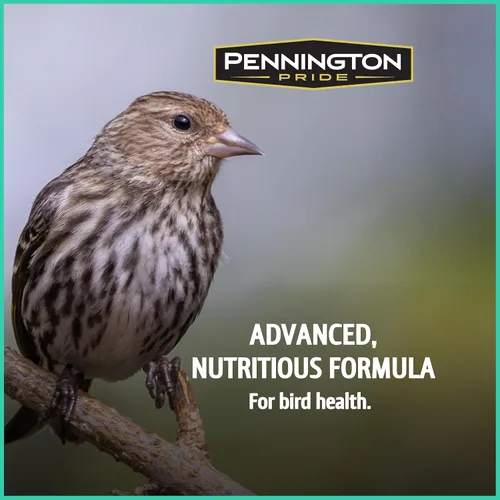 Miniatura 4 de Pennington - Pride Wild Finch - Mezcla de semillas para pájaros silvestres, 10 libras