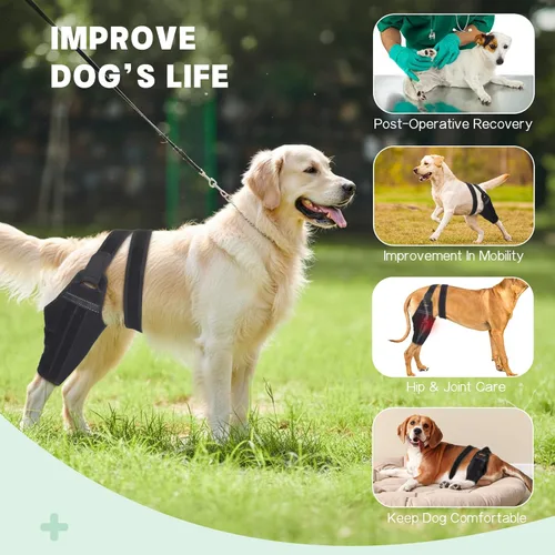 Miniatura 6 de Rodillera para perro para pierna trasera desgarrada del ligamento cruzado anterior – Soporte de pierna de perro para pierna trasera con 2 Pierna