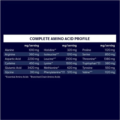 Miniatura 6 de Biochem Proteína en Polvo de Aislado de Suero 100%, Sabor Chocolate, 20g de Proteína de Vacas Alimentadas a Pasto, Apto para Dieta Cetogénica, Sin