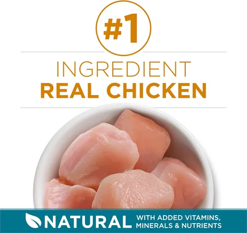 Miniatura 4 de Purina ONE Alimento seco natural para gatos, mezcla con pollo real, bolsa de 22 libras