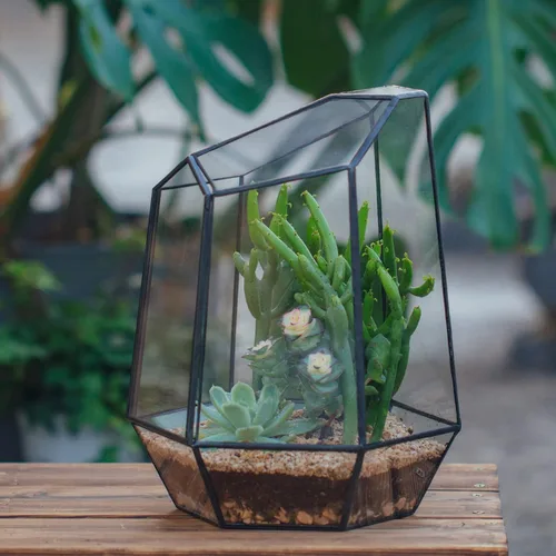 Miniatura 7 de NCYP Cerrar Terrario geométrico de vidrio con puerta, maceta irregular de 9.8 pulgadas de alto para suculentas, cactus pequeños, decoración moderna