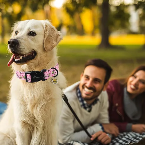 Miniatura 3 de ARING PET Collar Rosa para Perro, Lindos Collares Amarillos con Abejas para Cachorros Pequeños, Medianos y Grandes para Perros Chicos y Chicas-XS