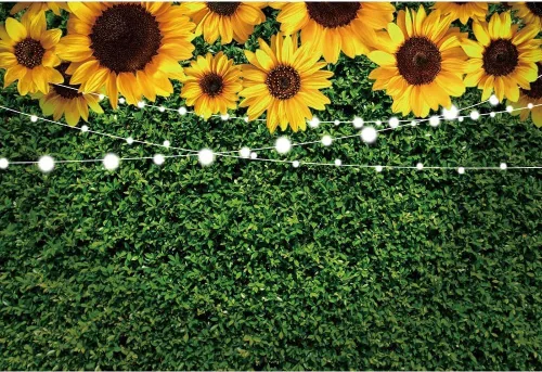 Yeele Fondo rústico de hojas verdes de girasol de 10 x 8 pies, luces de encaje para fotografía de cumpleaños, baby shower, boda, aniversario, recién
