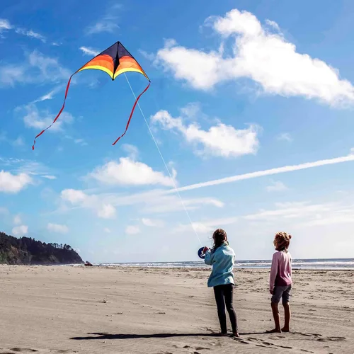 Miniatura 3 de Large Single Line Beach Kite for Adults,Easy to Fly Kites for Kids Age 4-12